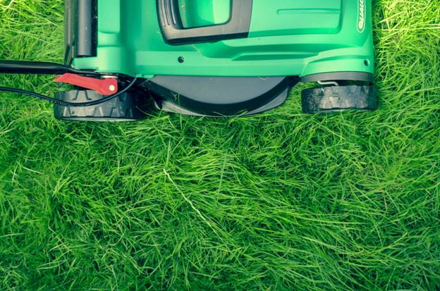 How a New Lawn Can Increase Your Home’s Market Value